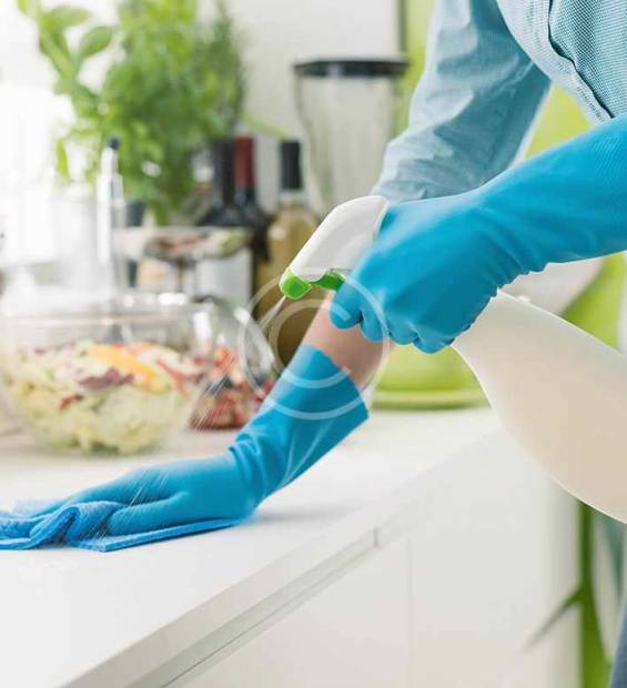 image-copyright (24) image-copyright (24)